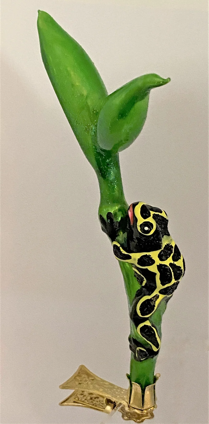 Schwarz-Gelber Regenwald Frosch auf Clip