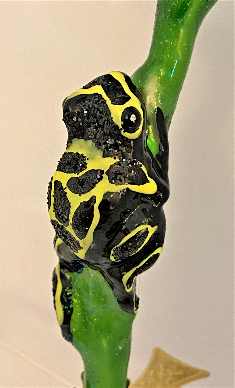 Schwarz-Gelber Regenwald Frosch auf Clip