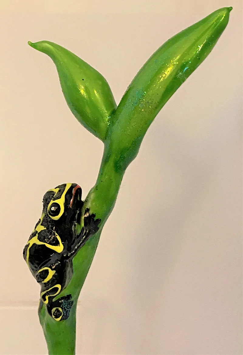 Schwarz-Gelber Regenwald Frosch auf Clip