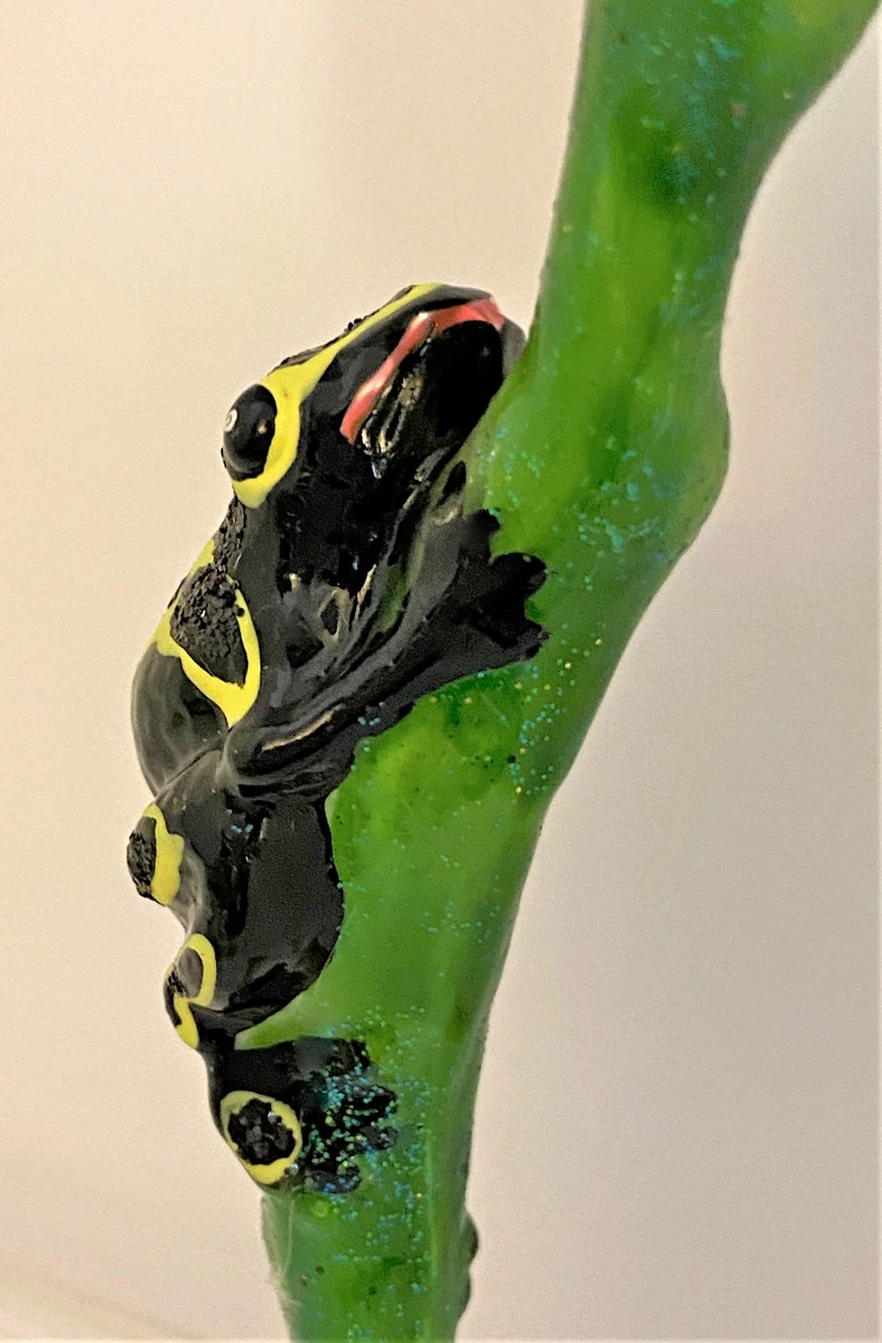 Schwarz-Gelber Regenwald Frosch auf Clip