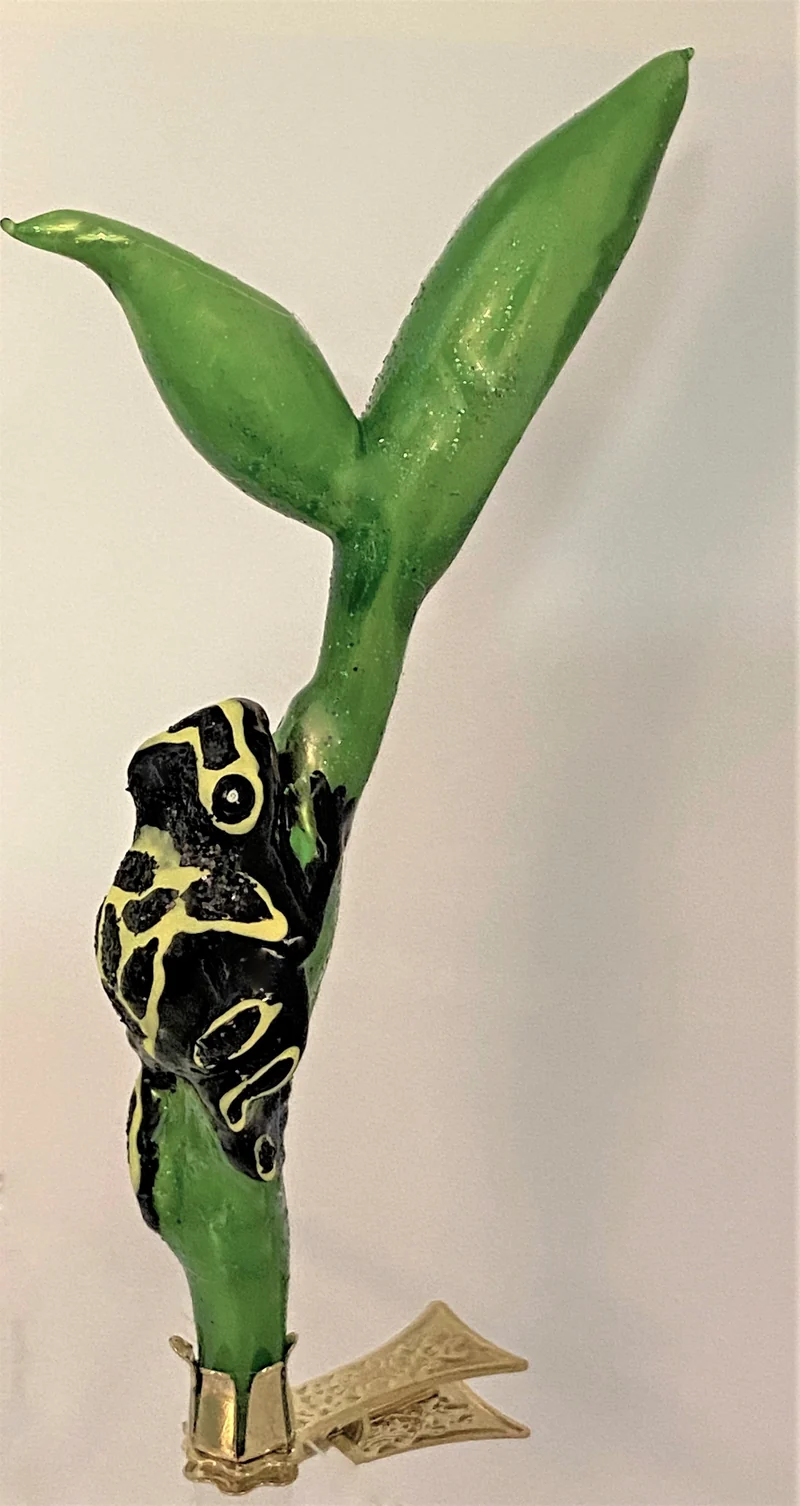 Schwarz-Gelber Regenwald Frosch auf Clip