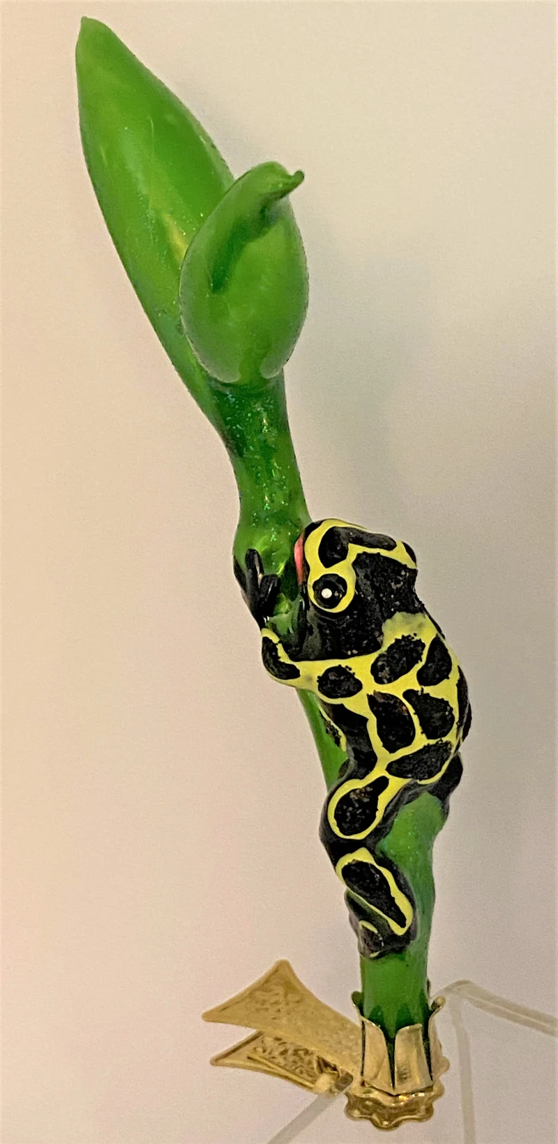 Schwarz-Gelber Regenwald Frosch auf Clip