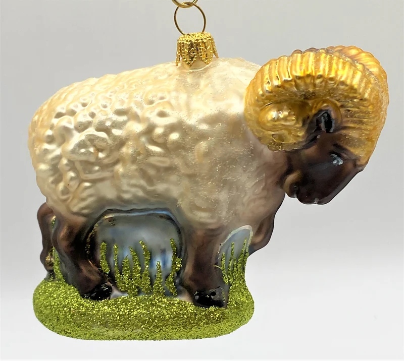 Widder, Mufflon