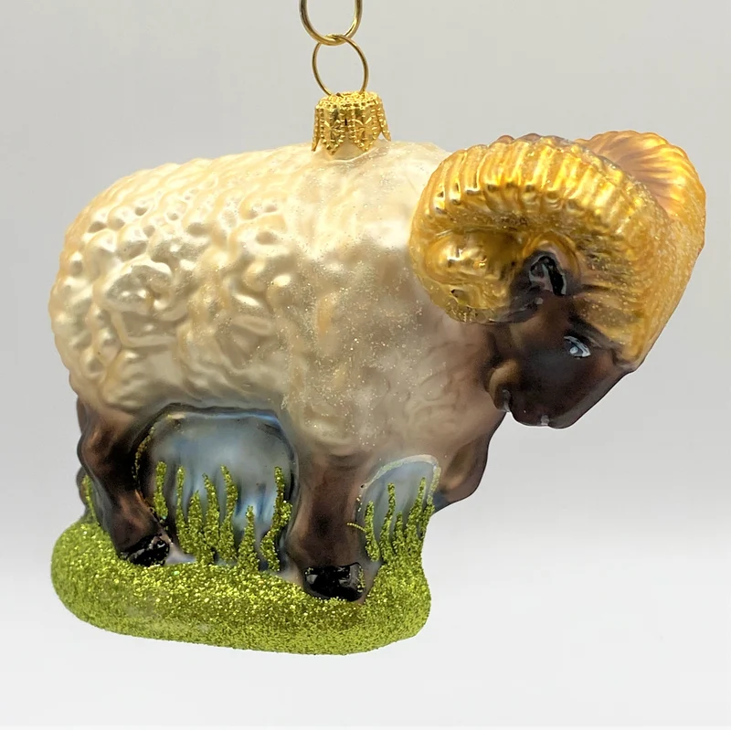 Widder, Mufflon