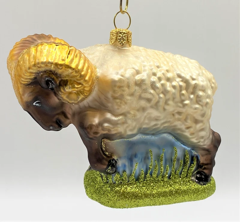 Widder, Mufflon