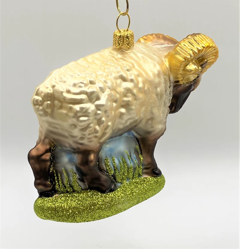 Widder, Mufflon