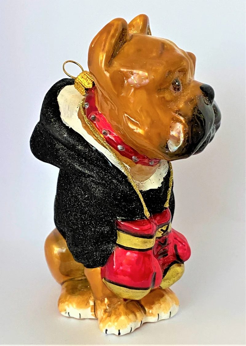 Boxer-Hund im Hoodie mit Boxer-Handschuhen, KOMOZJA MOSTOWSKI