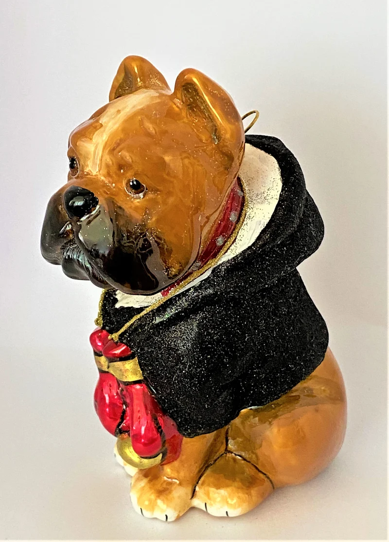 Boxer-Hund im Hoodie mit Boxer-Handschuhen, KOMOZJA MOSTOWSKI