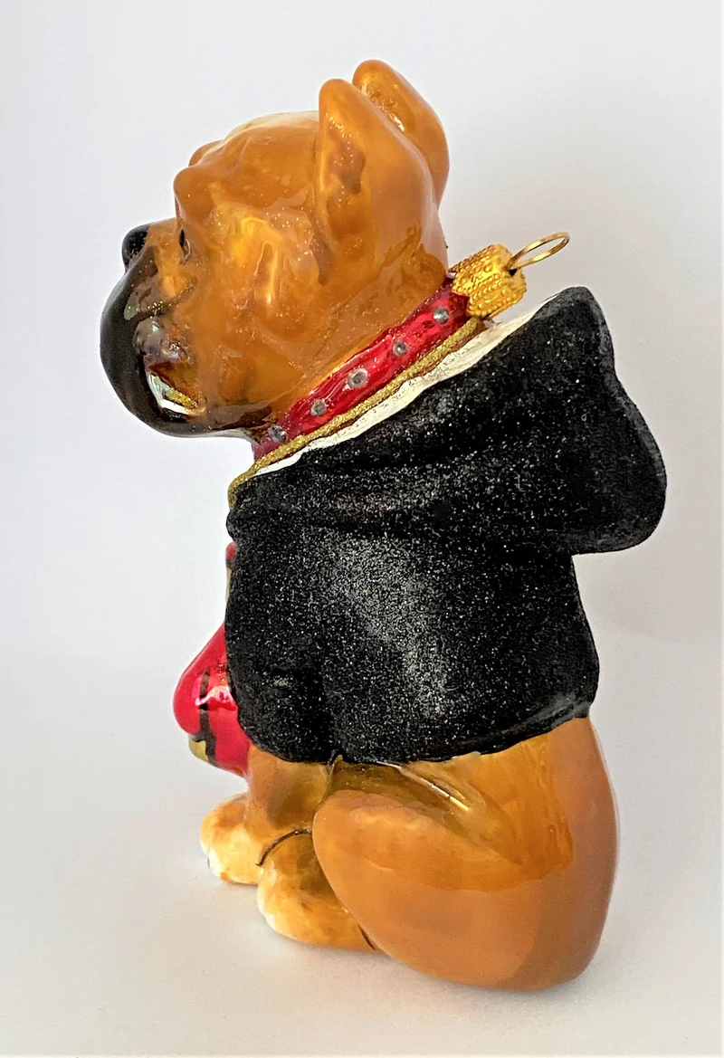 Boxer-Hund im Hoodie mit Boxer-Handschuhen, KOMOZJA MOSTOWSKI