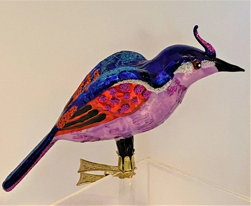 Paradiesvogel auf Clip