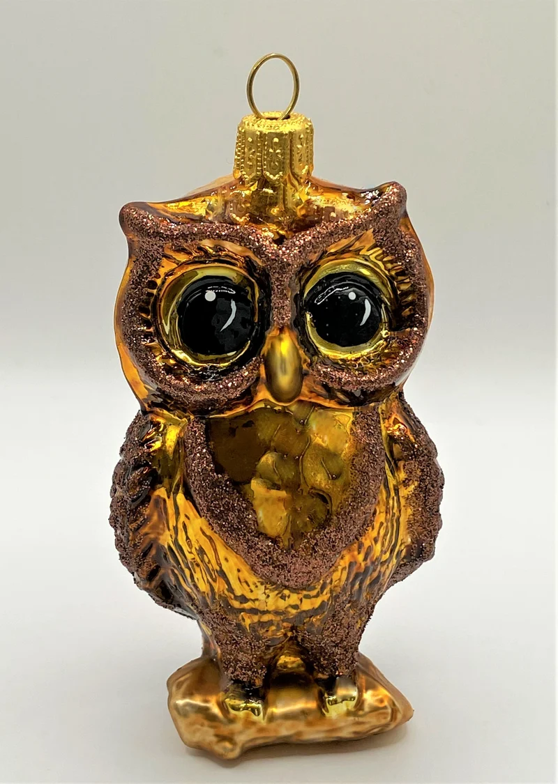 Braune Eule mit grossen Augen