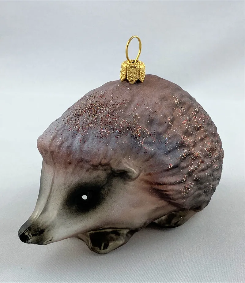Grosser Igel