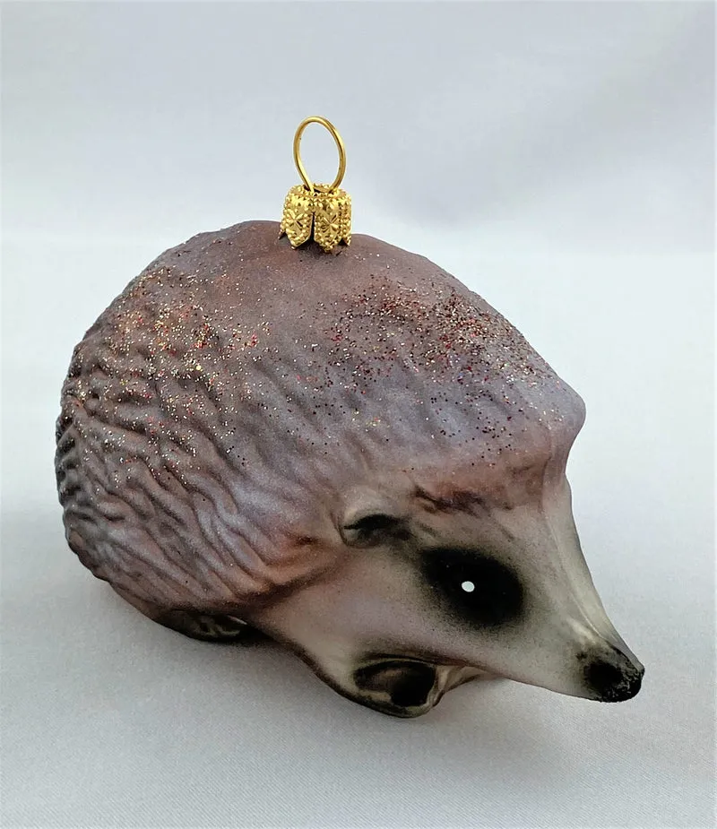 Grosser Igel