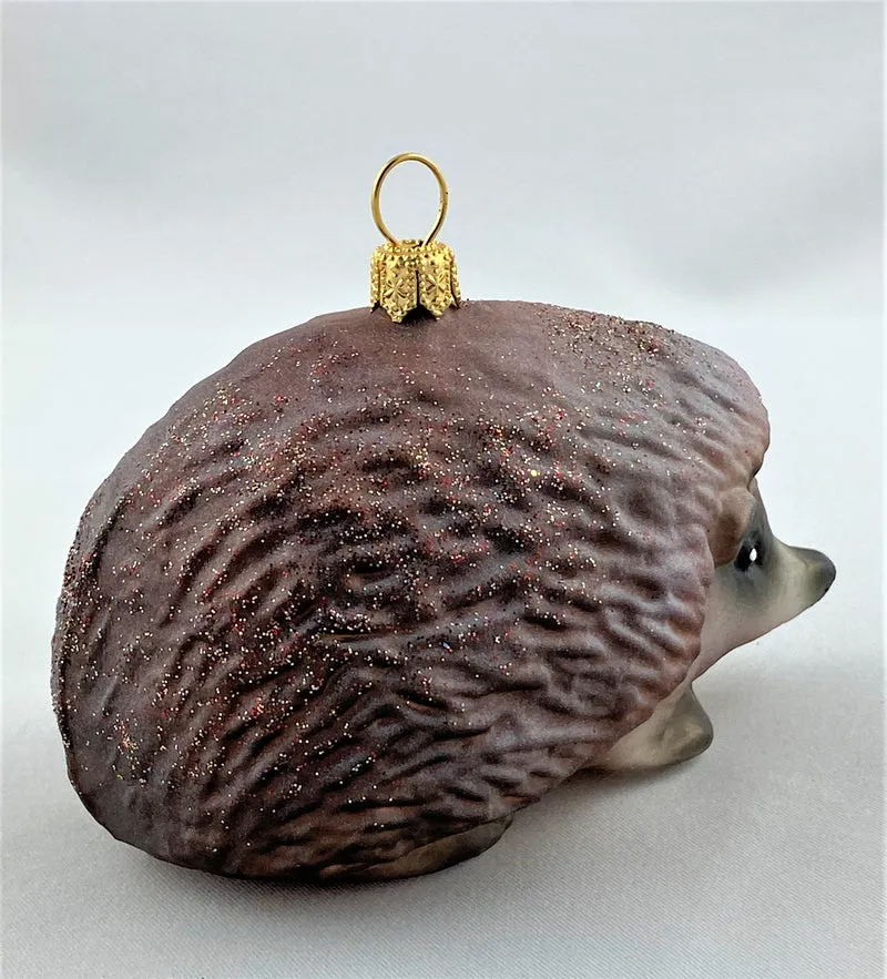 Grosser Igel