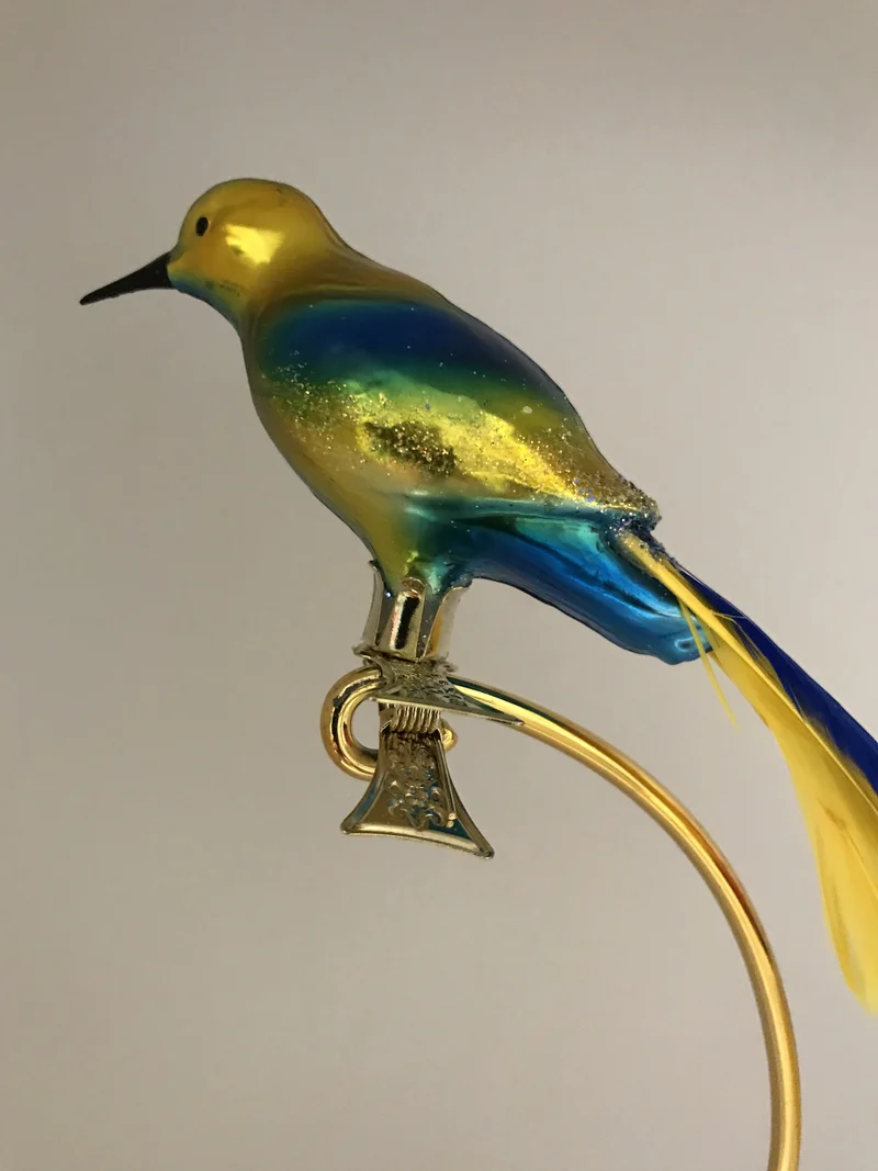 Gelb blauer Paradiesvogel auf Clip
