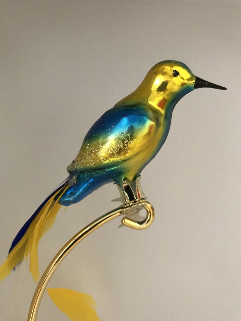 Gelb blauer Paradiesvogel auf Clip