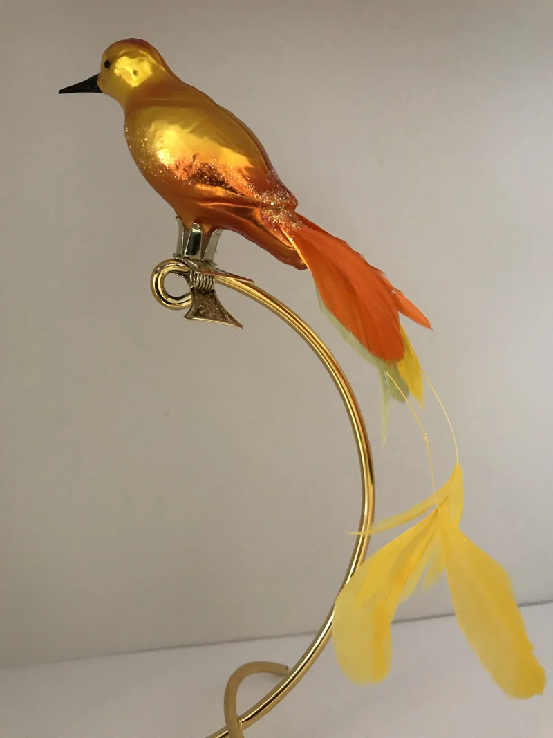 Geld oranger Paradiesvogel auf Clip