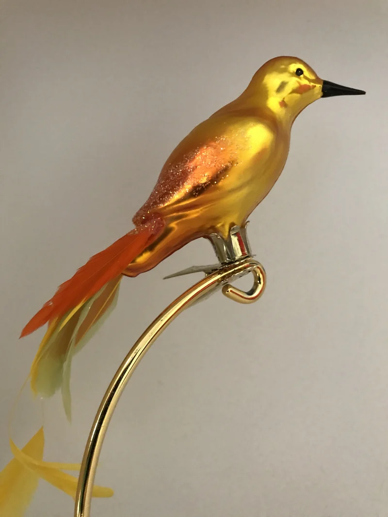 Geld oranger Paradiesvogel auf Clip