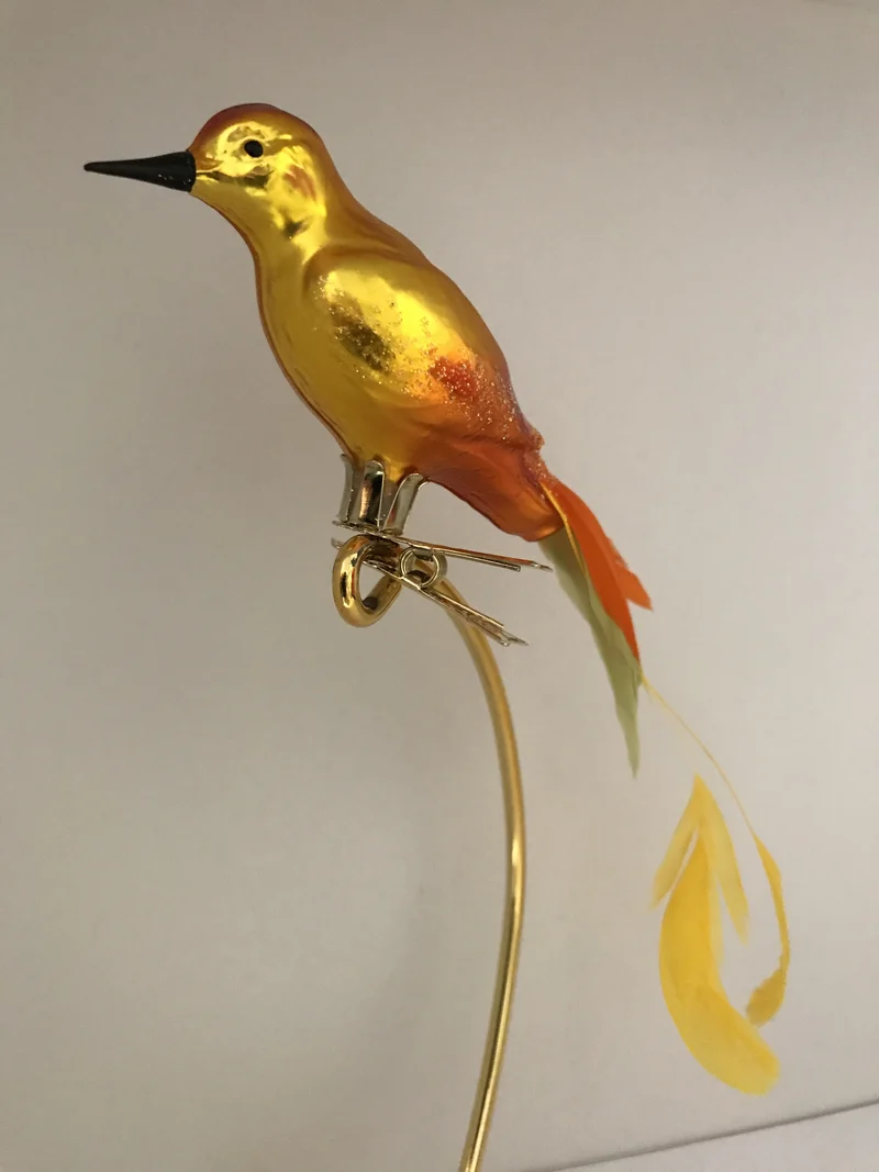 Geld oranger Paradiesvogel auf Clip