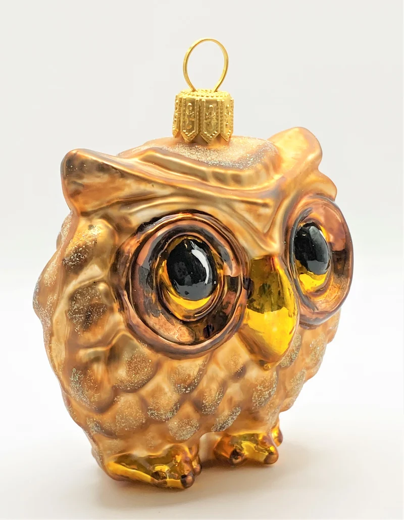 Dicke braune Eule mit grossen Augen