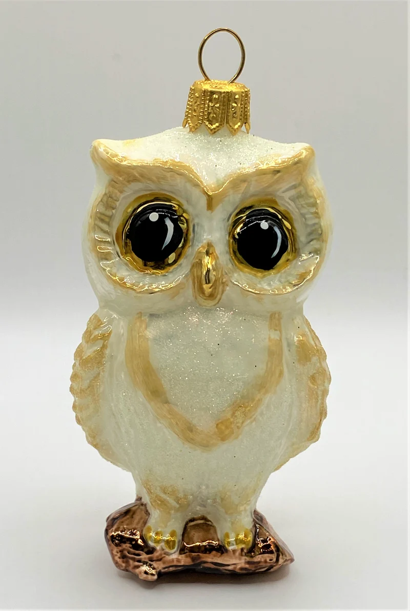 Weisse Eule mit grossen Augen