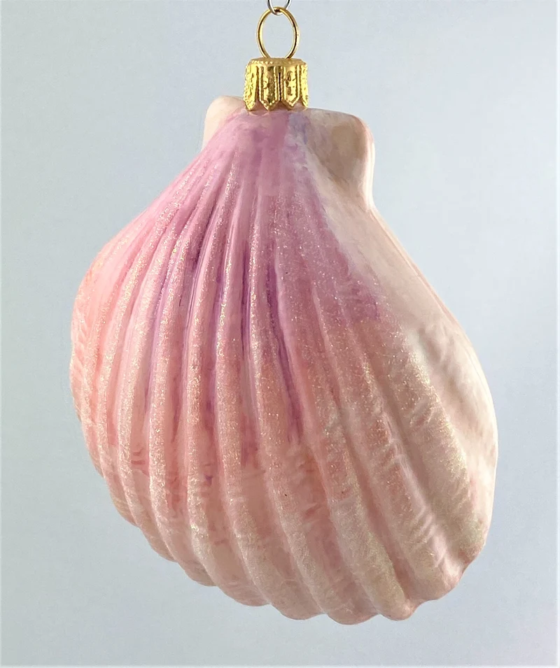 Jakobsmuschel