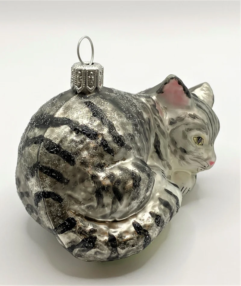 Liegende graue Tigerkatze
