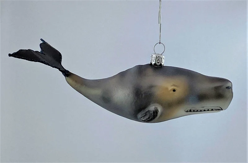 Walfisch