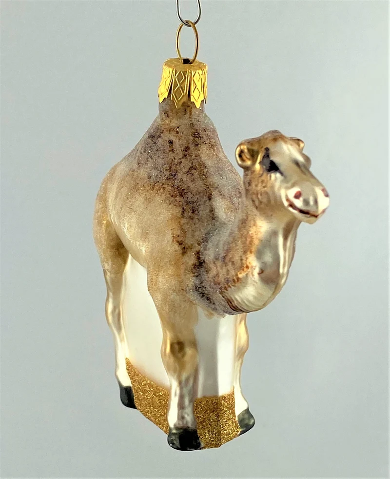 Kleines Kamel