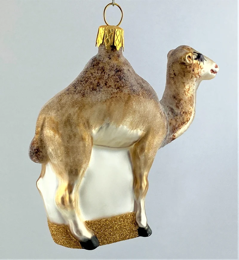 Kleines Kamel