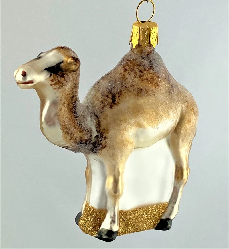 Kleines Kamel