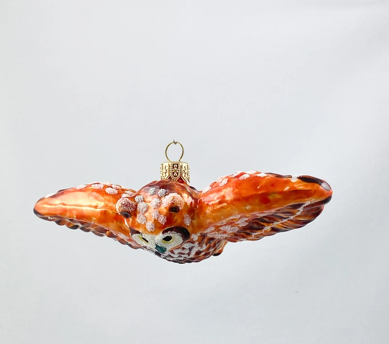 Fliegende rostbraune Eule
