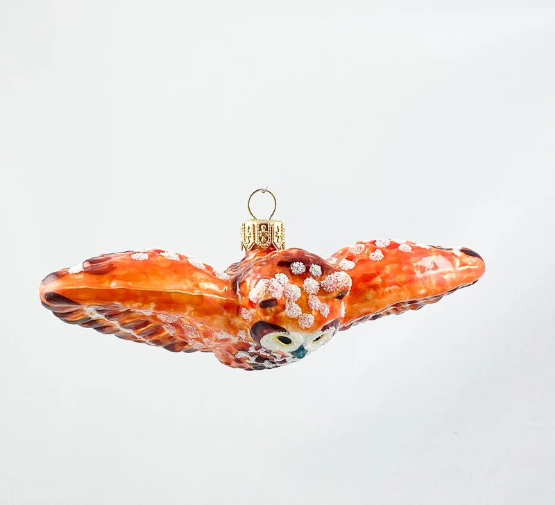 Fliegende rostbraune Eule
