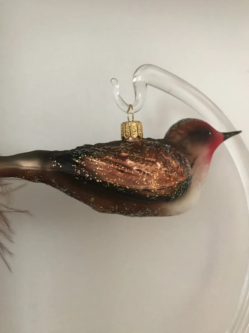 Grosses Weihnachtsvögeli Rotkehlchen