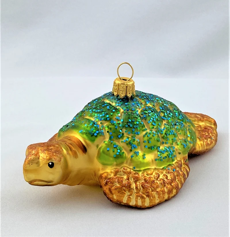 Meeres-Schildkröte