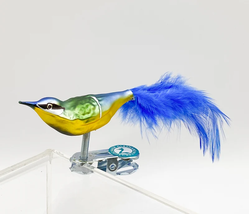 Kleine Blaumeise