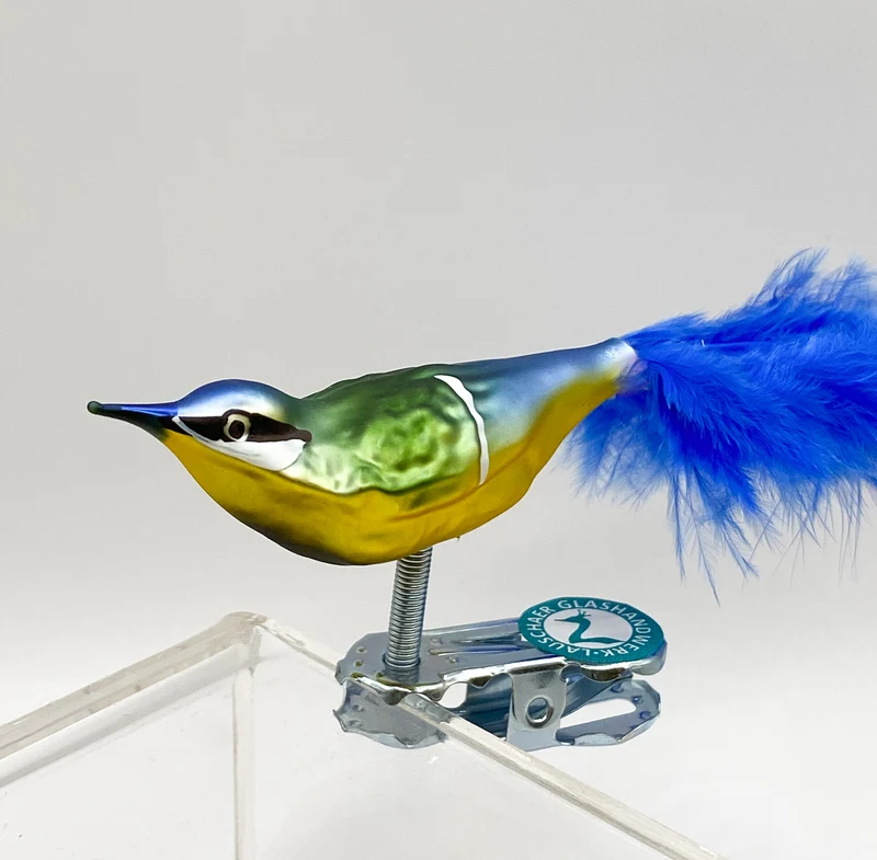 Kleine Blaumeise