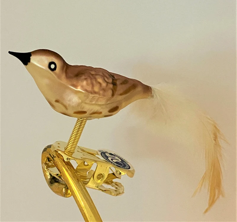 Kleine Singdrossel