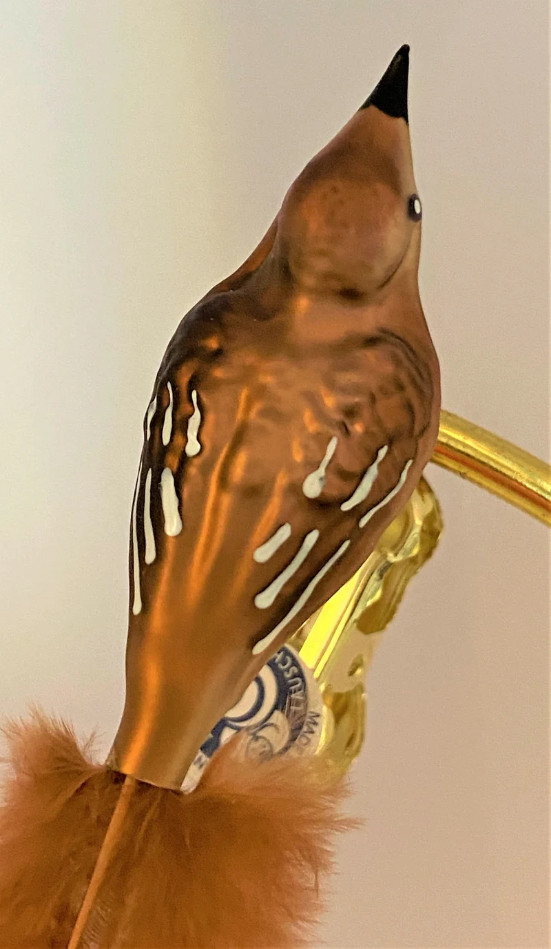 Kleine Nachtigal