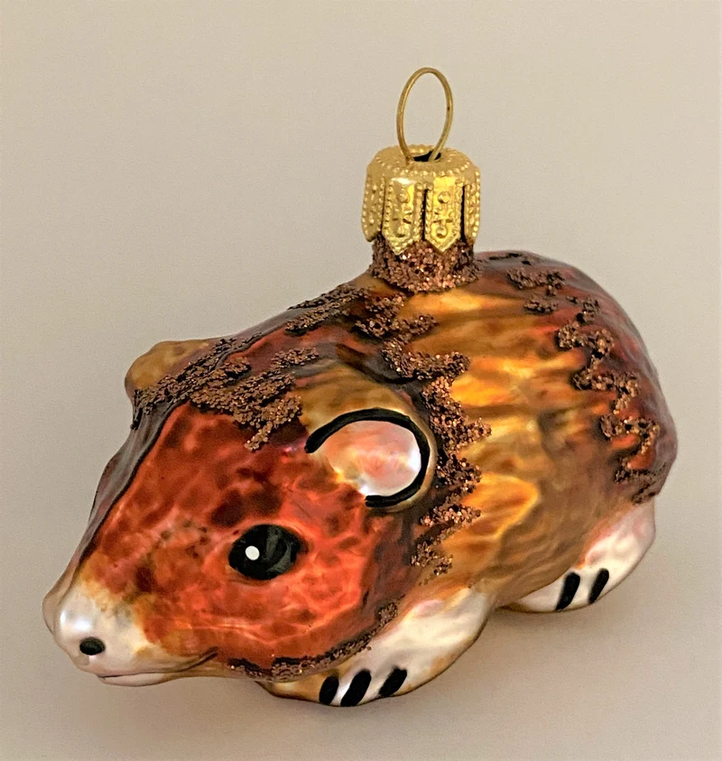 Braunes Meerschweinchen