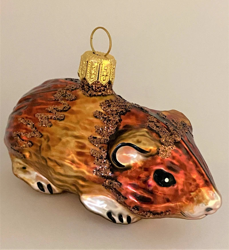 Braunes Meerschweinchen