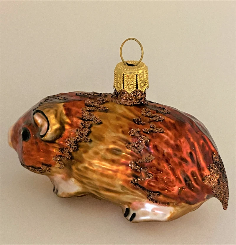 Braunes Meerschweinchen