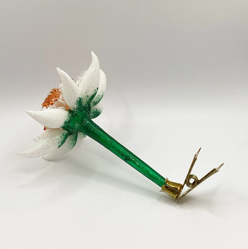 Edelweiss auf Clip