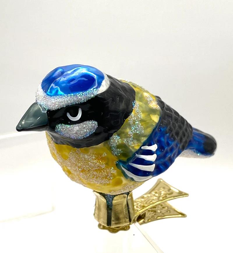 Blaumeise auf Clip