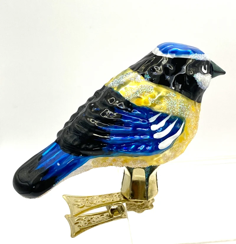 Blaumeise auf Clip