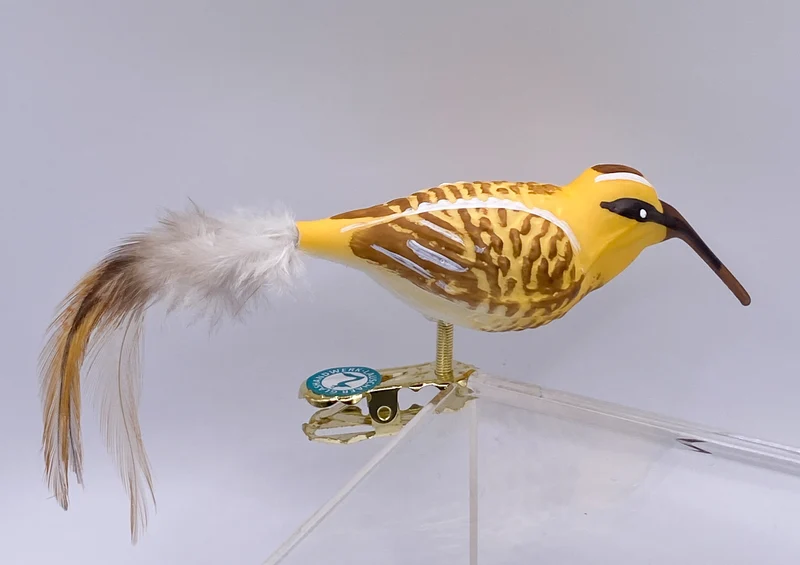 Bekassine, Schnepfenvogel