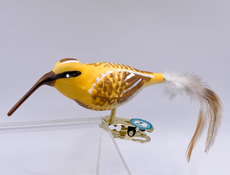 Bekassine, Schnepfenvogel