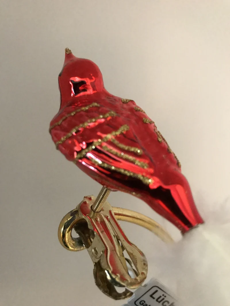 Breites rotes Vögelchen