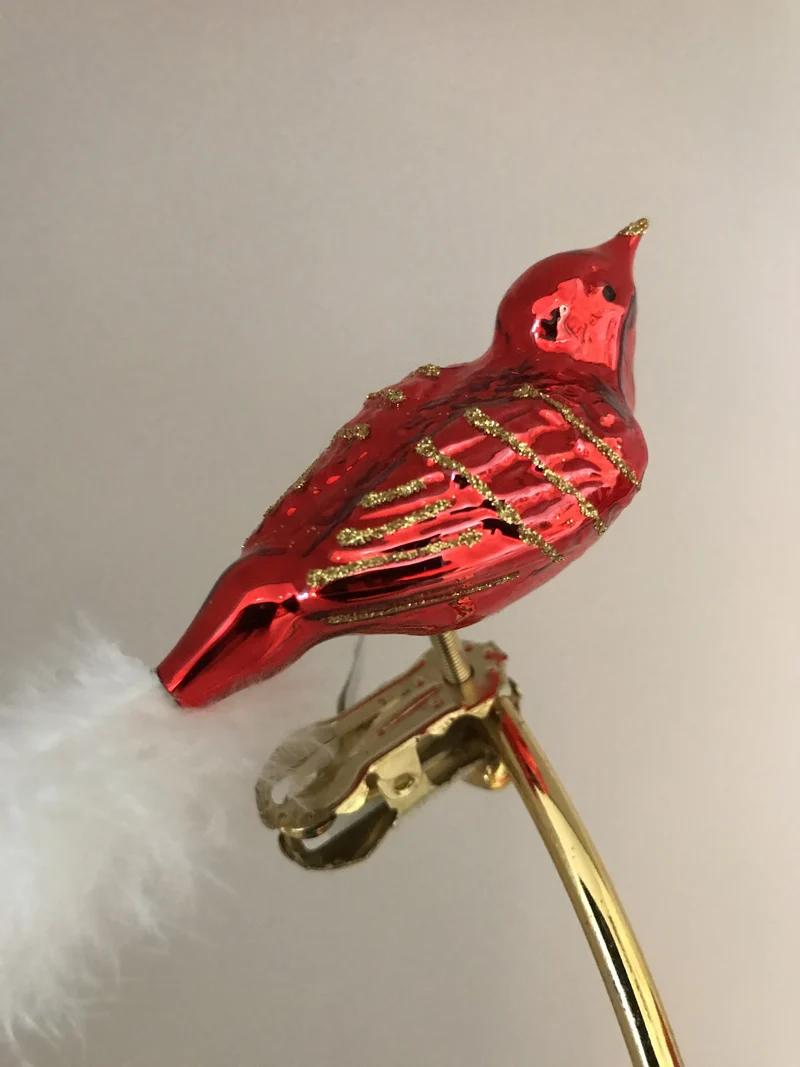 Breites rotes Vögelchen