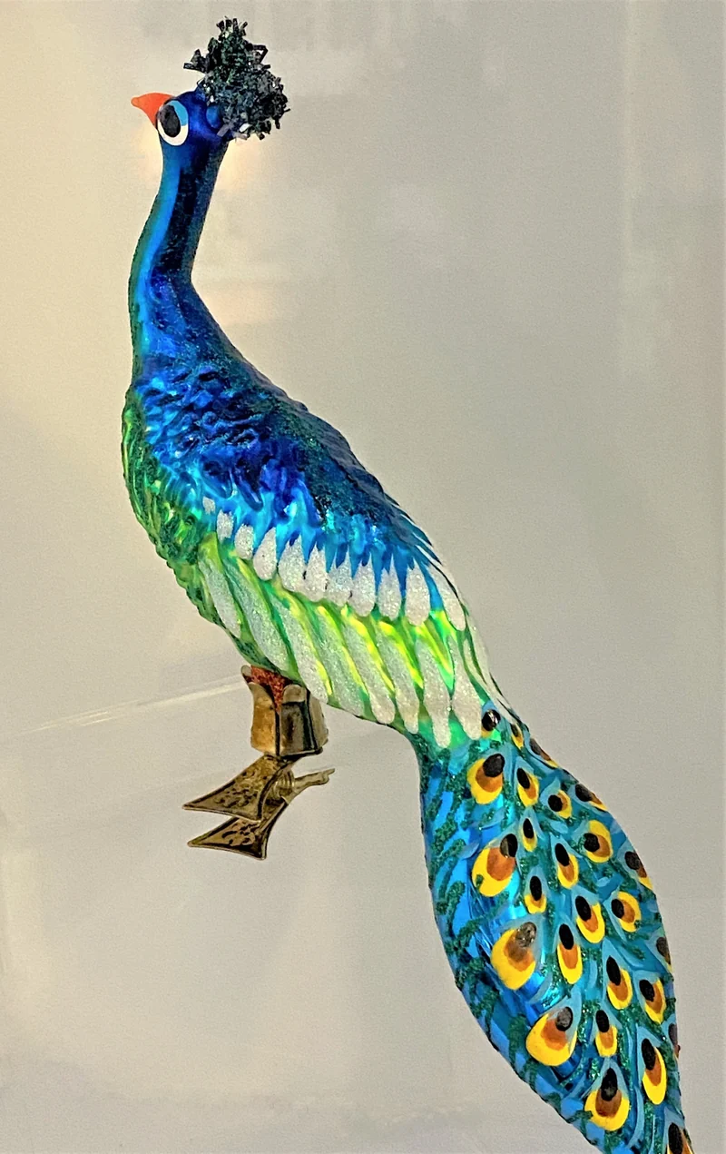 Grosser Pfau auf Clip